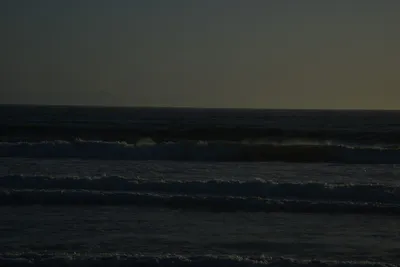 DSC_7243 (Large).JPG